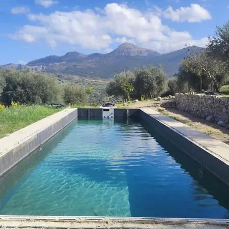 Degli Ulivi Villa *