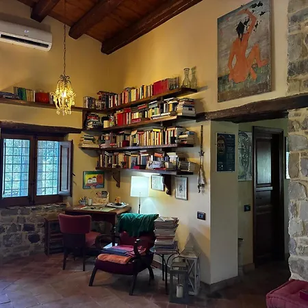 Degli Ulivi *