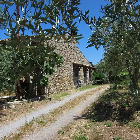 Villa Degli Ulivi *