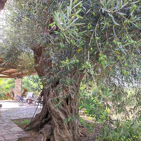 Degli Ulivi Villa *