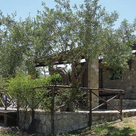 Degli Ulivi