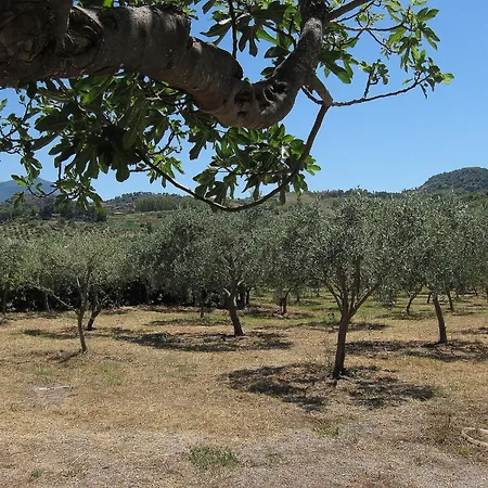 Degli Ulivi * Collesano