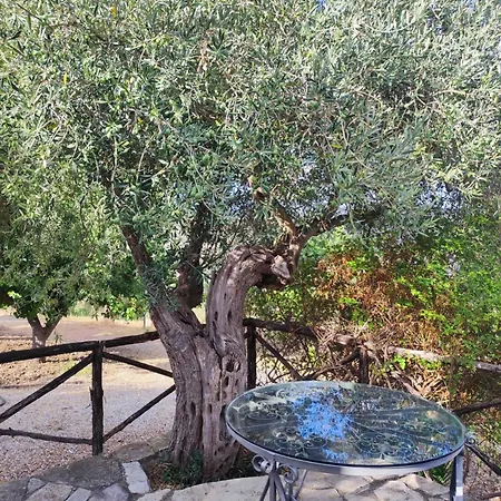Degli Ulivi Villa
