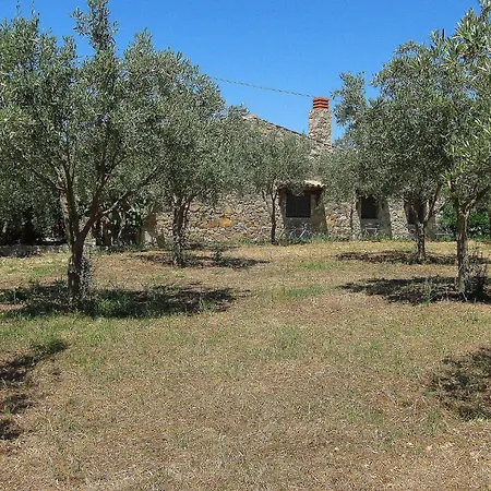 Degli Ulivi